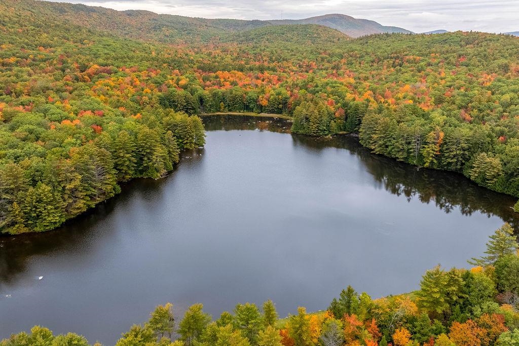 92 Moose Mountain Road Canaan, NH 03741 - Photo 46 of 49 Gallery Image 46
