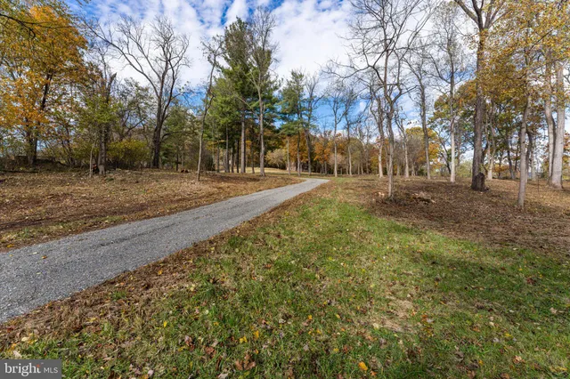 a view of dirt yard with large trees