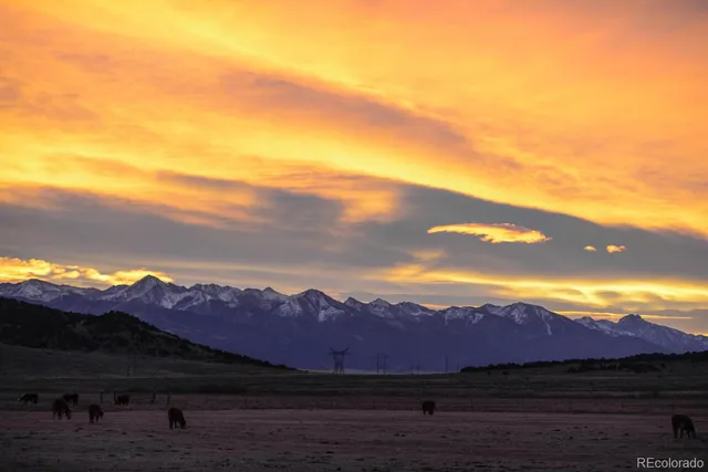a view of a lush green hillside and a houses