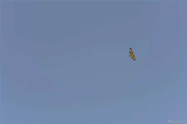 a view of grassy field with mountain