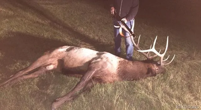 $1,195,000 | 54400 County Road, Villa Grove, CO 81155