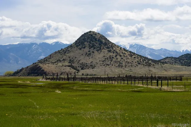 a view of a lush green outdoor space with a mountain