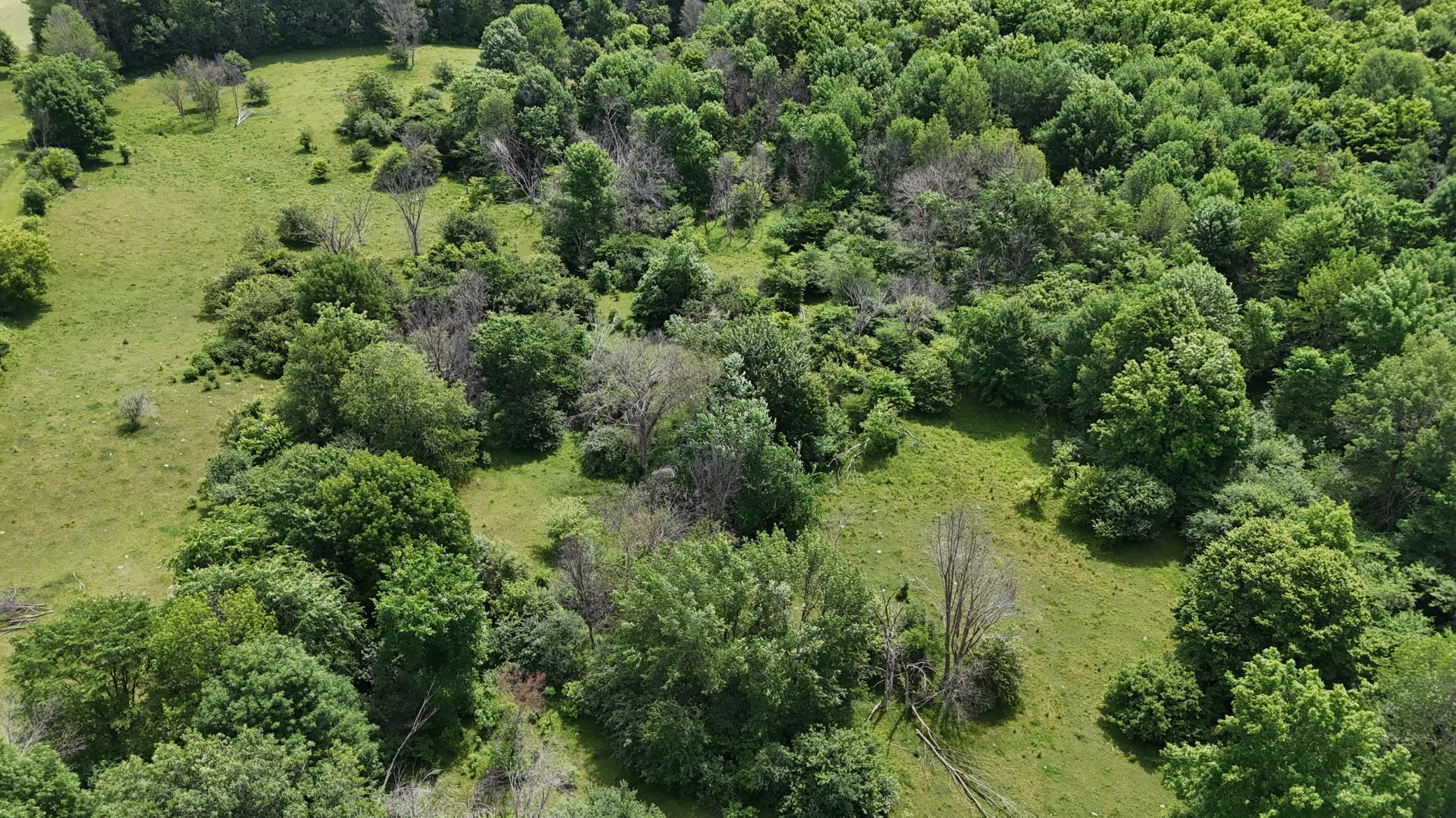 Tbd Tbd 230th Baldwin, WI 54002 - Photo 39 of 56