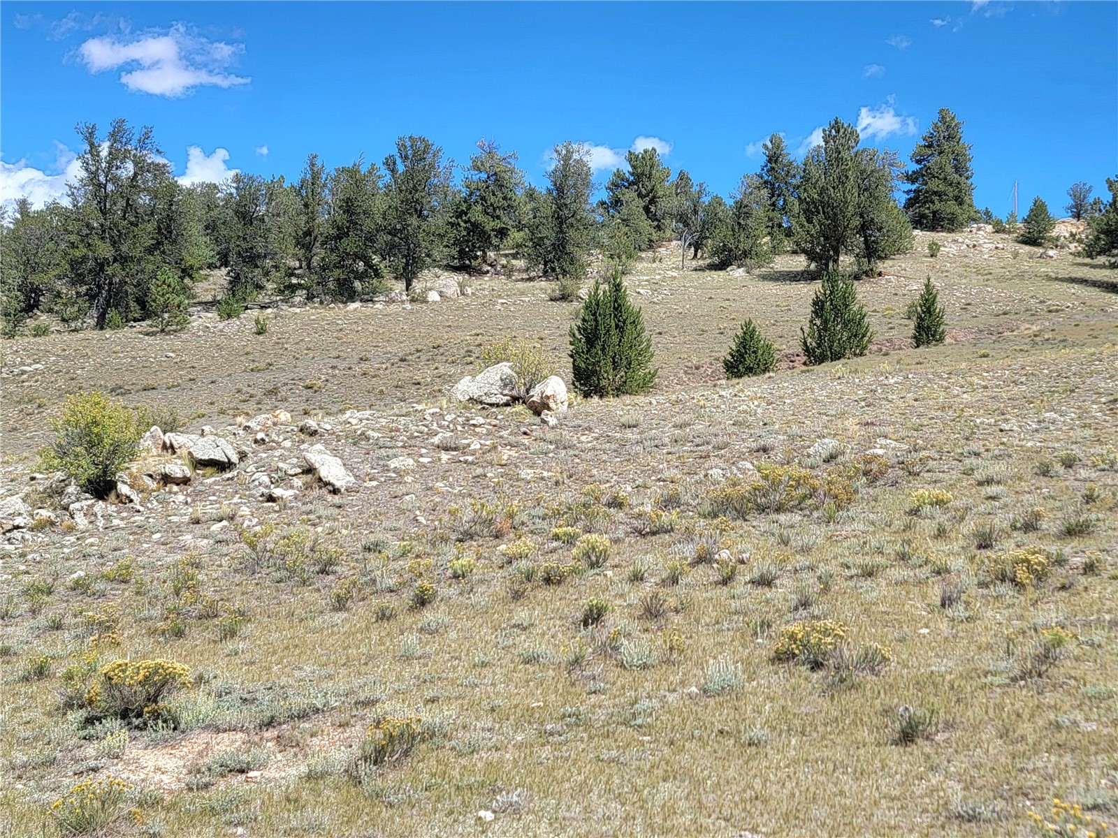 20 Yellowstone Road Hartsel, CO 80449 - Photo 40 of 50 Gallery Image 40