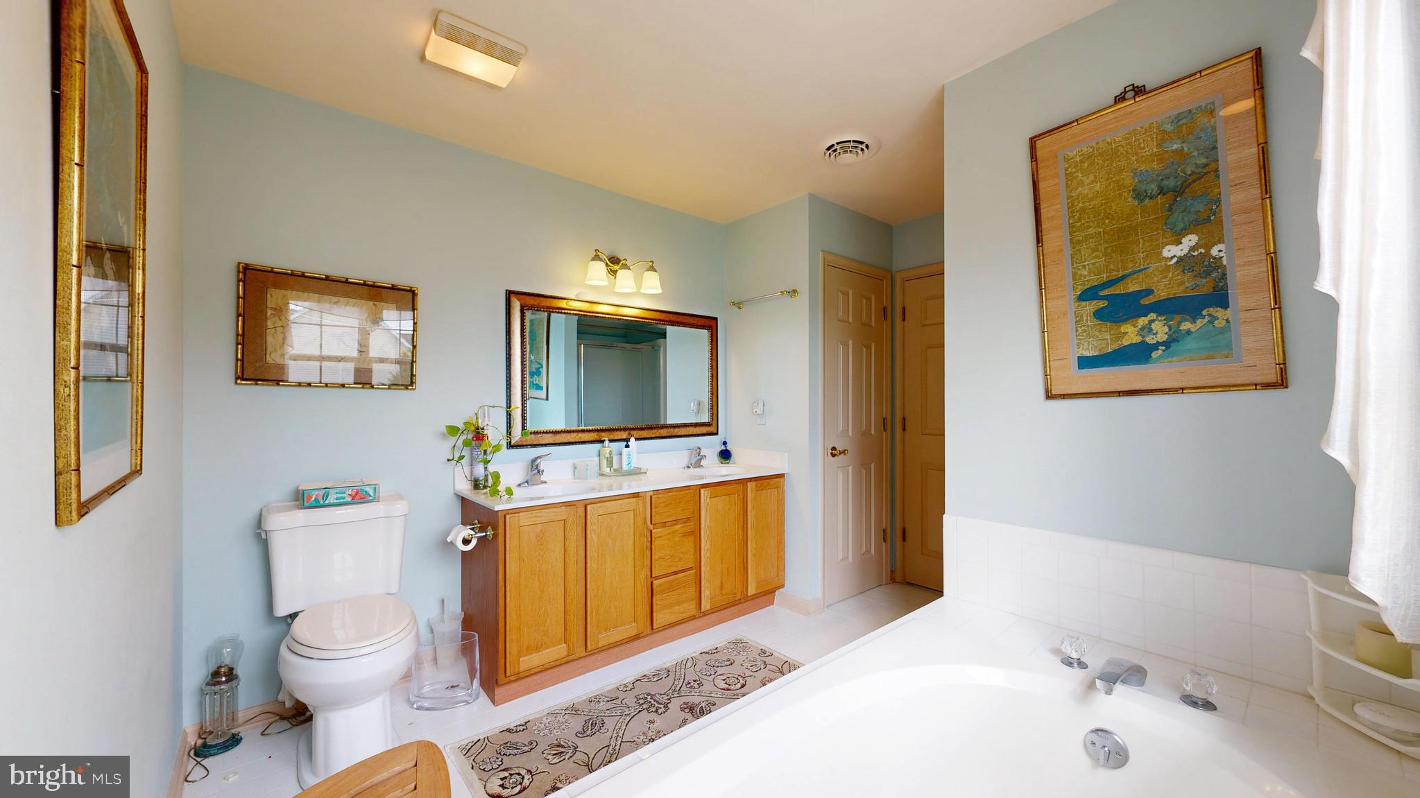 110 Masters Lane Magnolia, DE 19962 - Photo 53 of 65 a bathroom with a toilet a sink a mirror and a bathtub