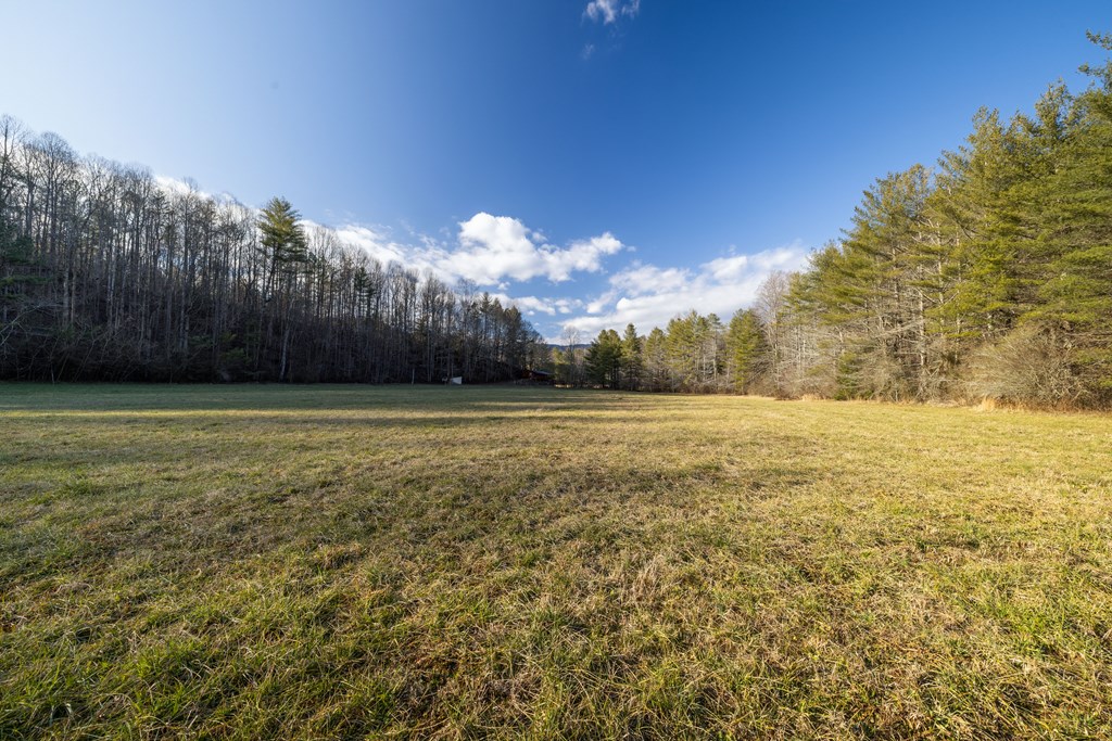 3771 Gates Chapel Road Ellijay, GA 30540 - Photo 8 of 12 Gallery Image 8