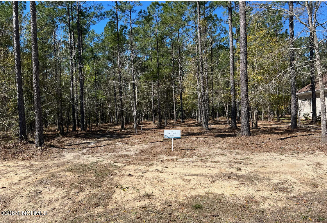 2675 West Timber Crst Dr  