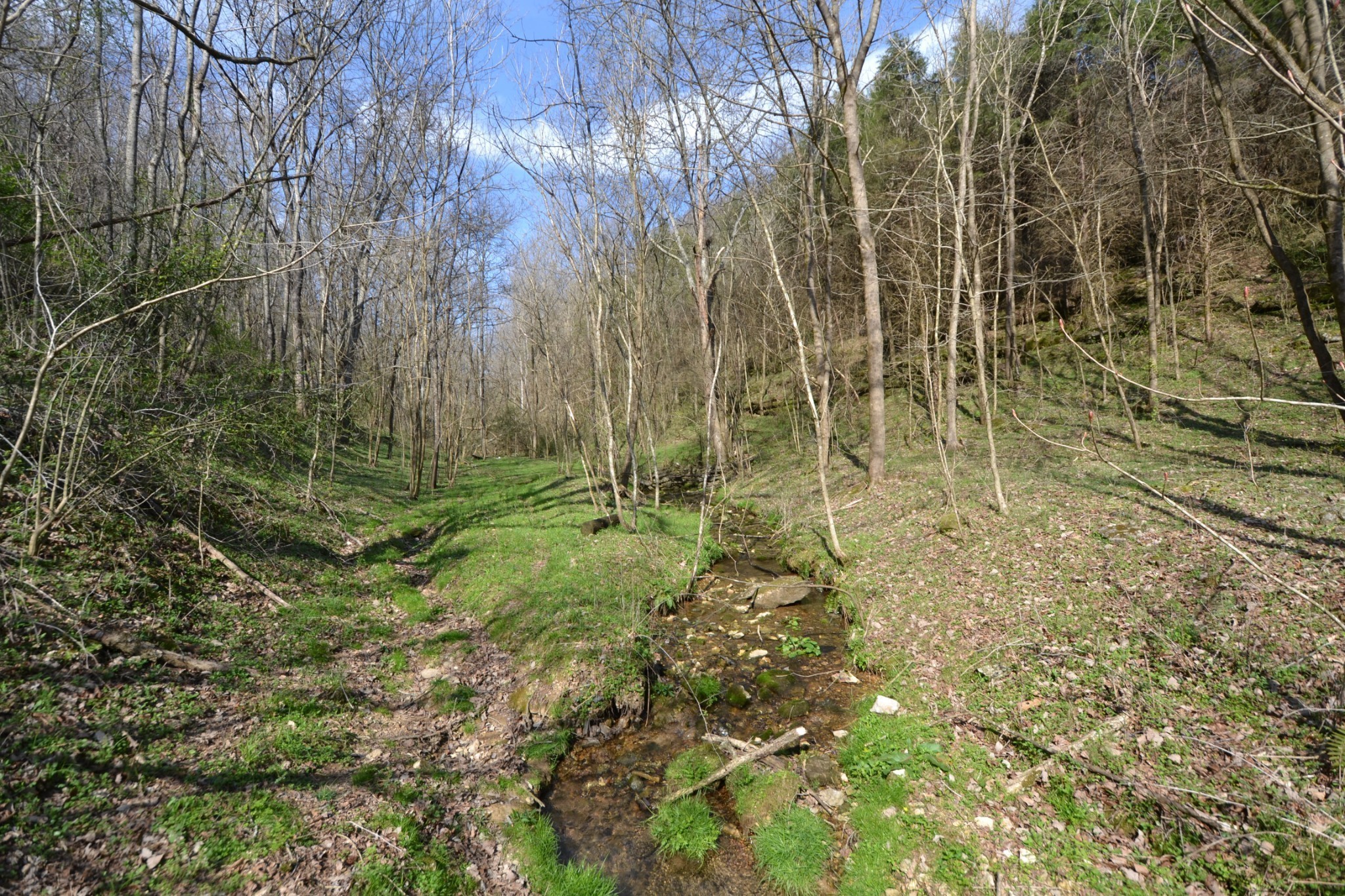 49 St Marys Road Chestnut Mound, TN 38552 - Photo 13 of 39 Gallery Image 13