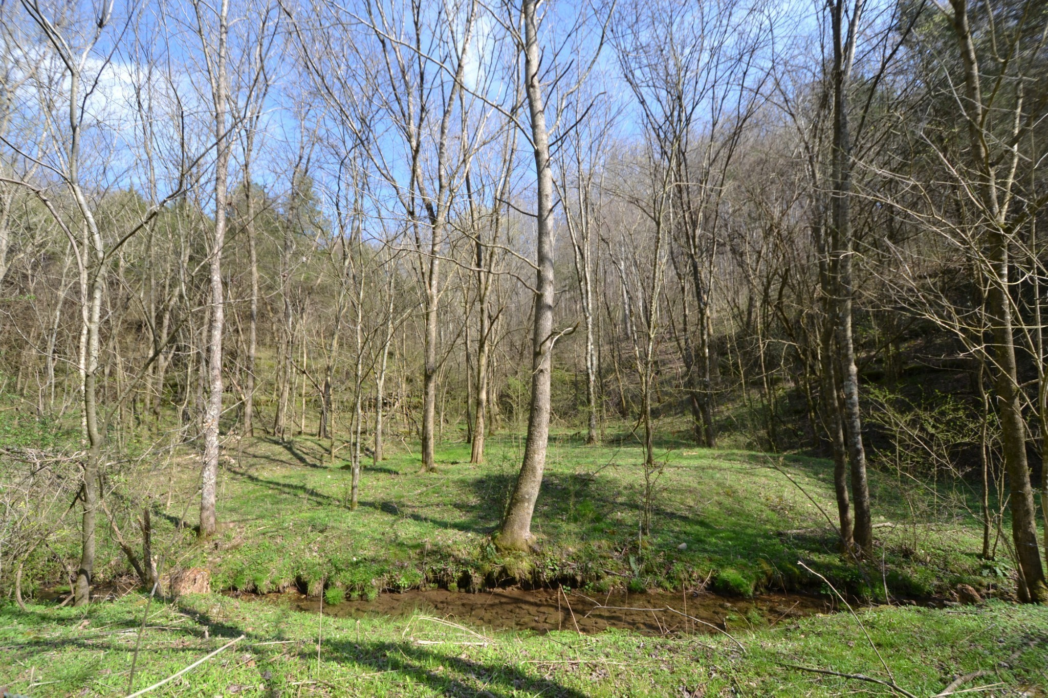 49 St Marys Road Chestnut Mound, TN 38552 - Photo 14 of 39 Gallery Image 14