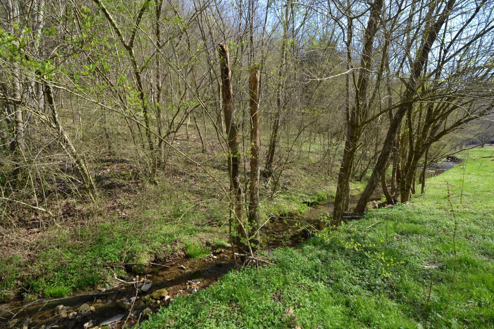 49 St Marys Road Chestnut Mound, TN 38552 - Photo 15 of 39 Gallery Image 15