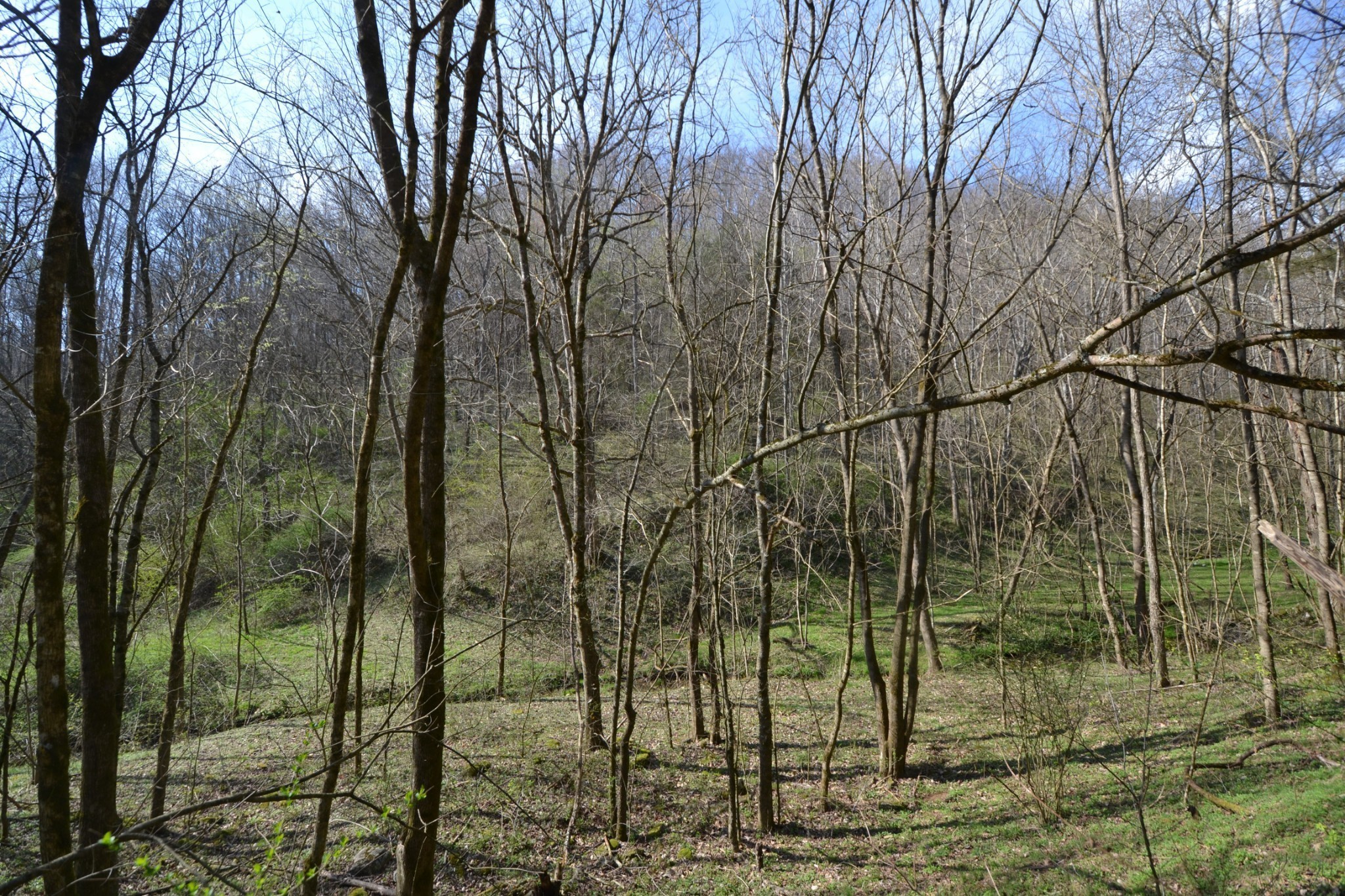 49 St Marys Road Chestnut Mound, TN 38552 - Photo 16 of 39 Gallery Image 16