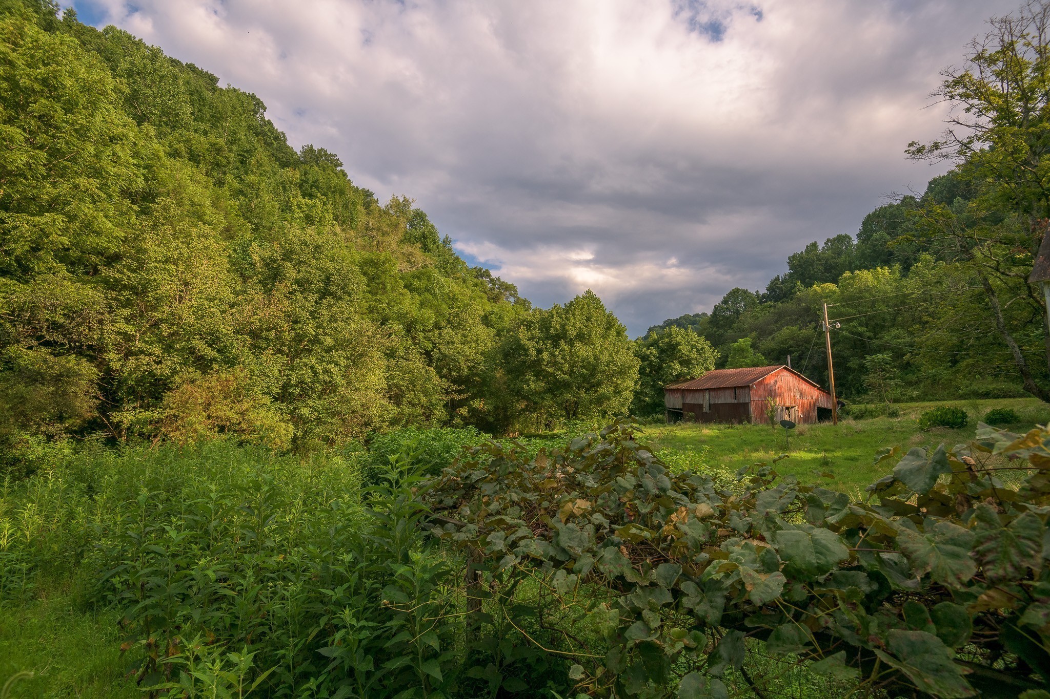 49 St Marys Road Chestnut Mound, TN 38552 - Photo 17 of 39 Gallery Image 17