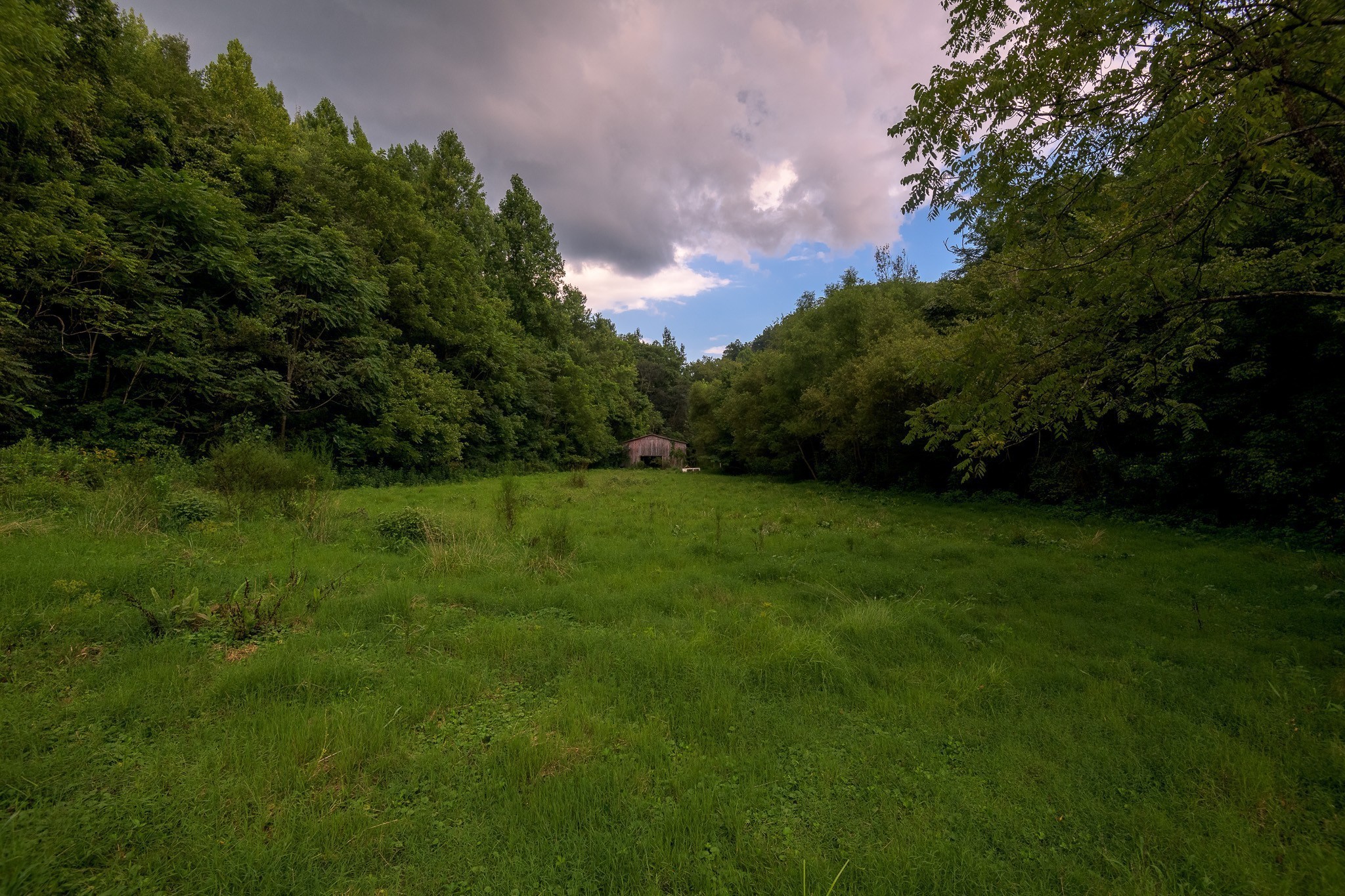 49 St Marys Road Chestnut Mound, TN 38552 - Photo 18 of 39 Gallery Image 18