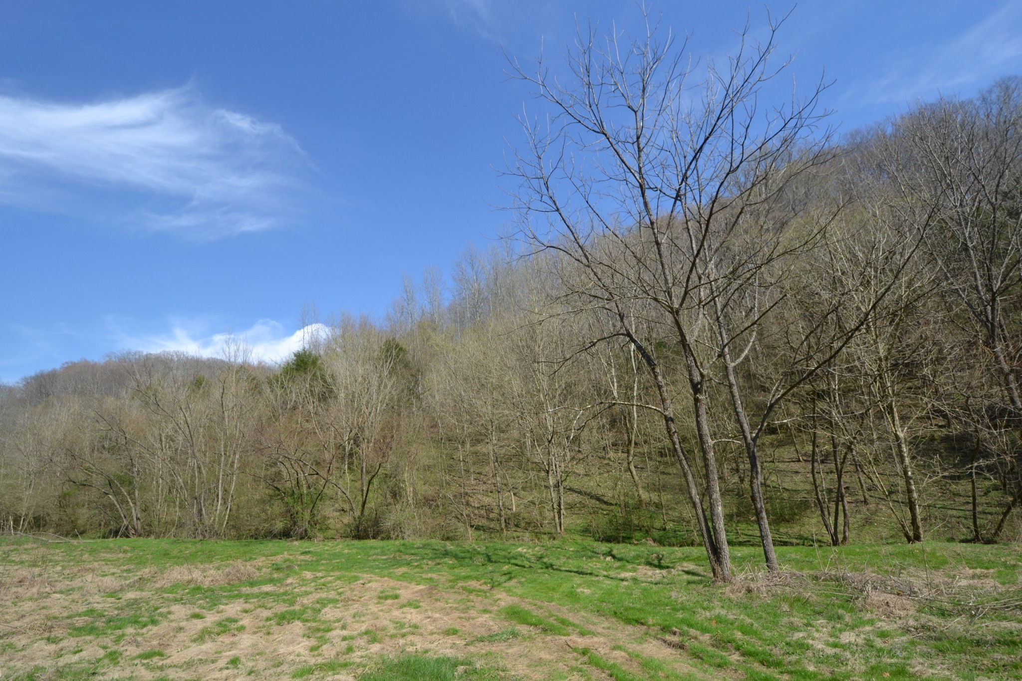 49 St Marys Road Chestnut Mound, TN 38552 - Photo 2 of 39 Gallery Image 2