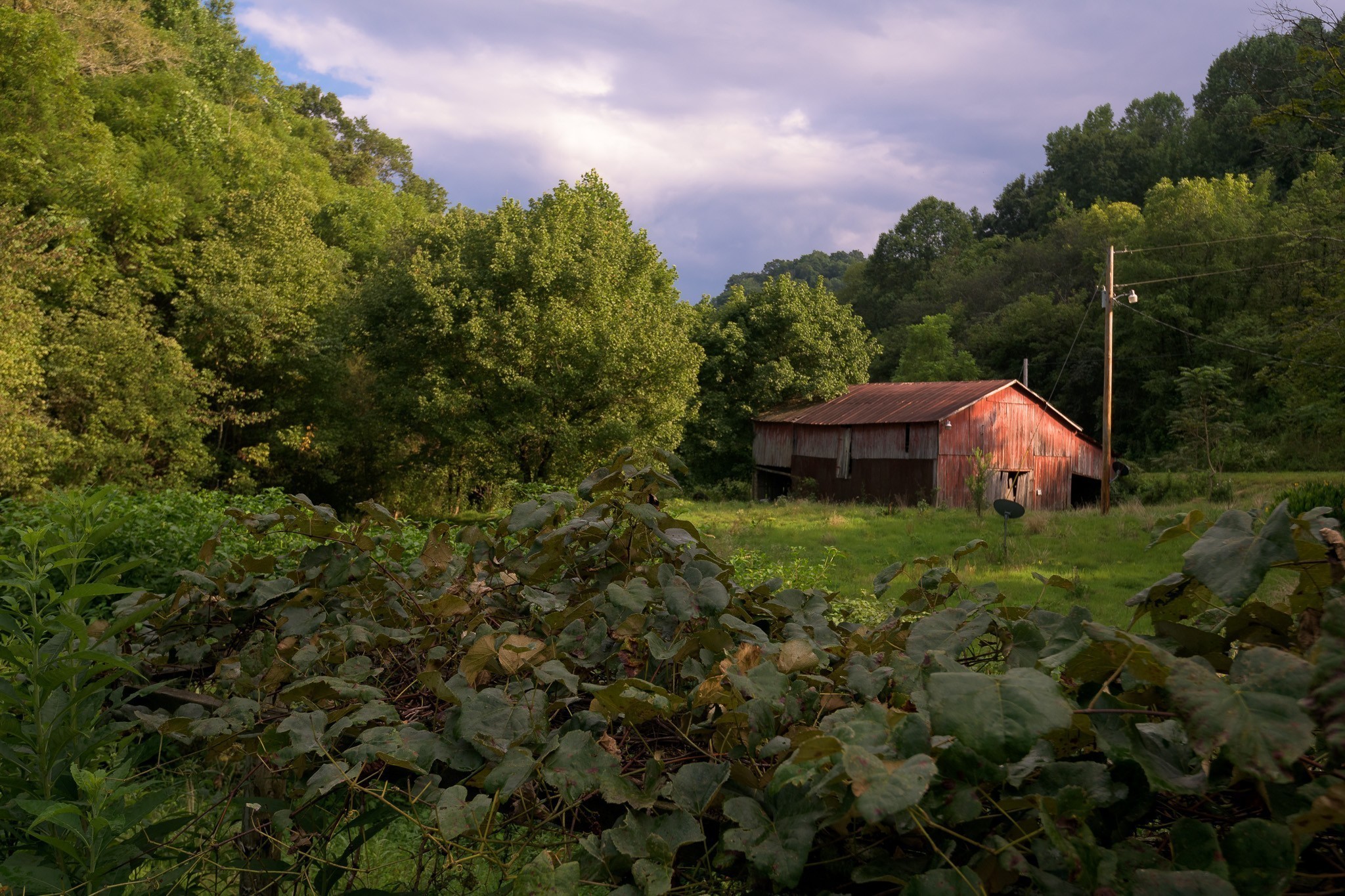 49 St Marys Road Chestnut Mound, TN 38552 - Photo 25 of 39 Gallery Image 25