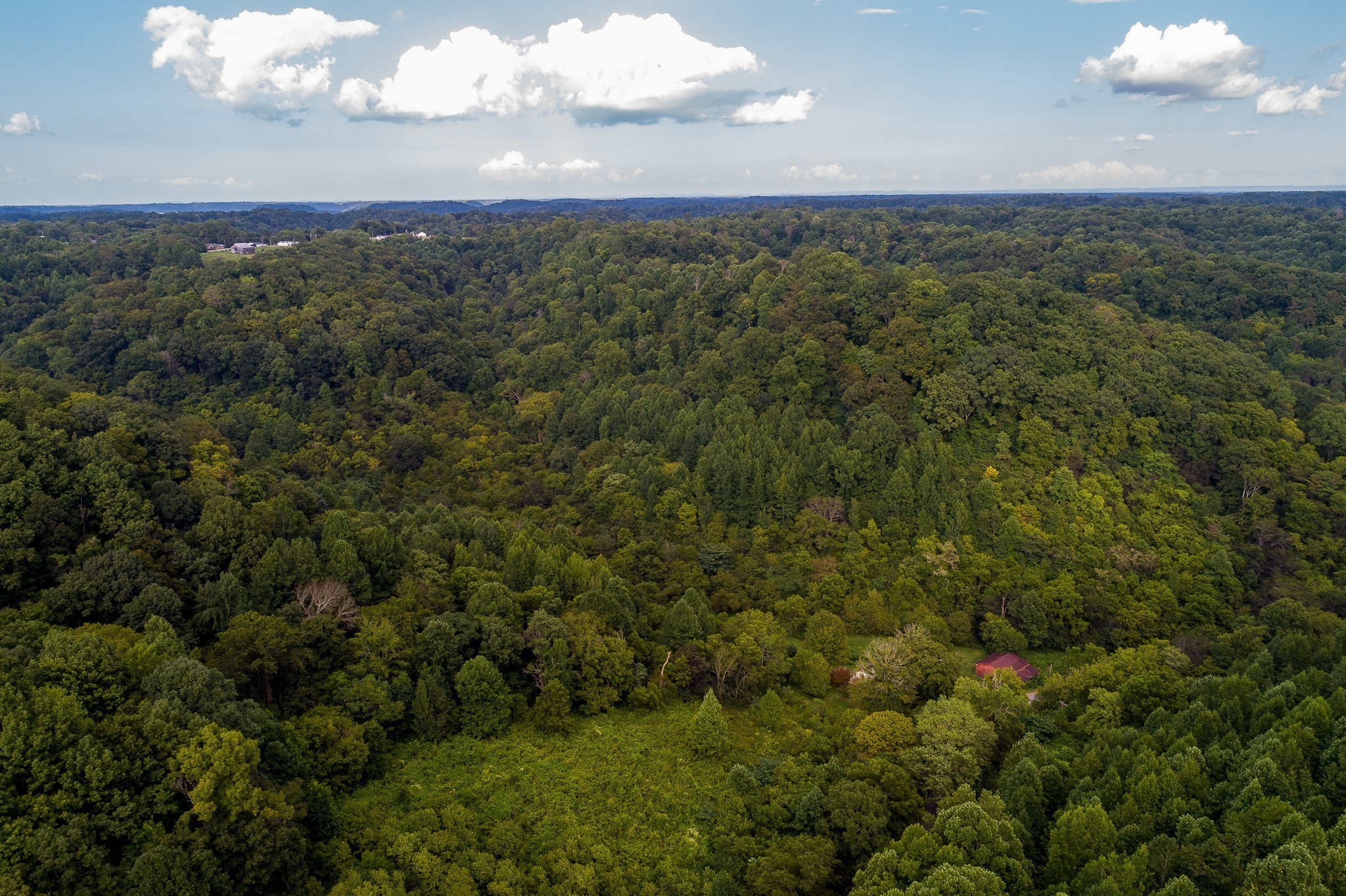 49 St Marys Road Chestnut Mound, TN 38552 - Photo 29 of 39 Gallery Image 29