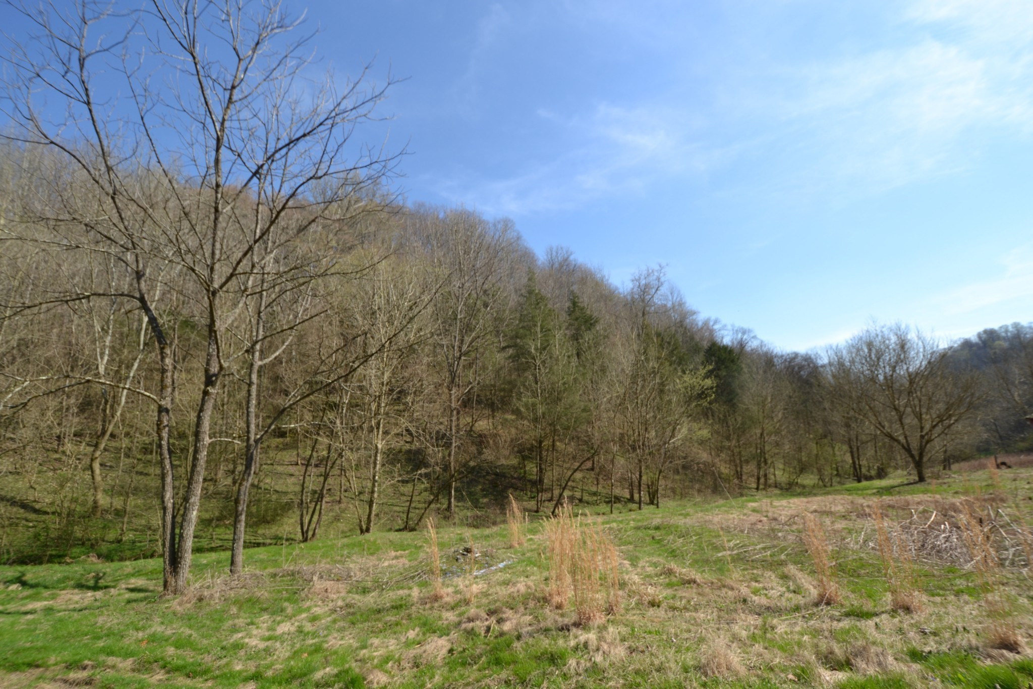 49 St Marys Road Chestnut Mound, TN 38552 - Photo 3 of 39 Gallery Image 3
