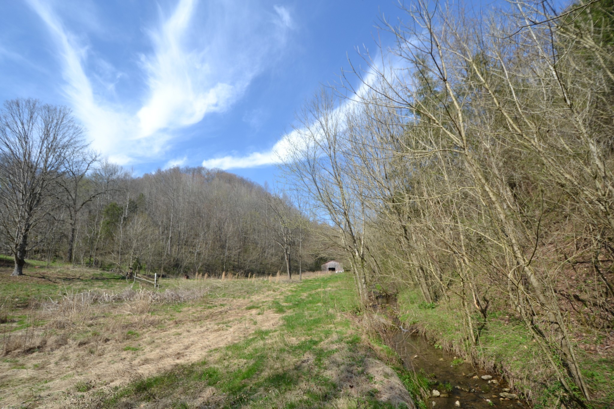 49 St Marys Road Chestnut Mound, TN 38552 - Photo 5 of 39 Gallery Image 5