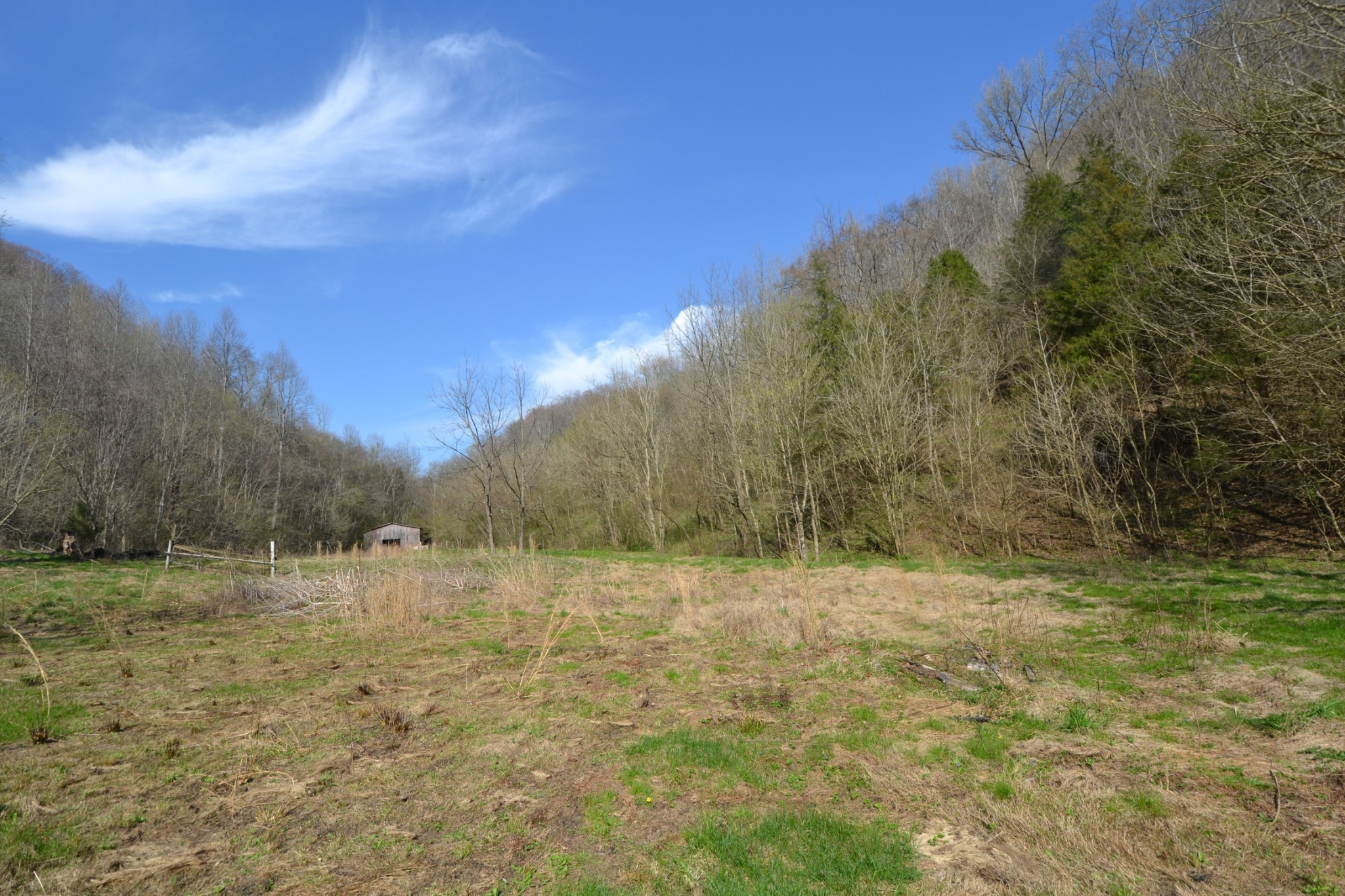 49 St Marys Road Chestnut Mound, TN 38552 - Photo 6 of 39 Gallery Image 6