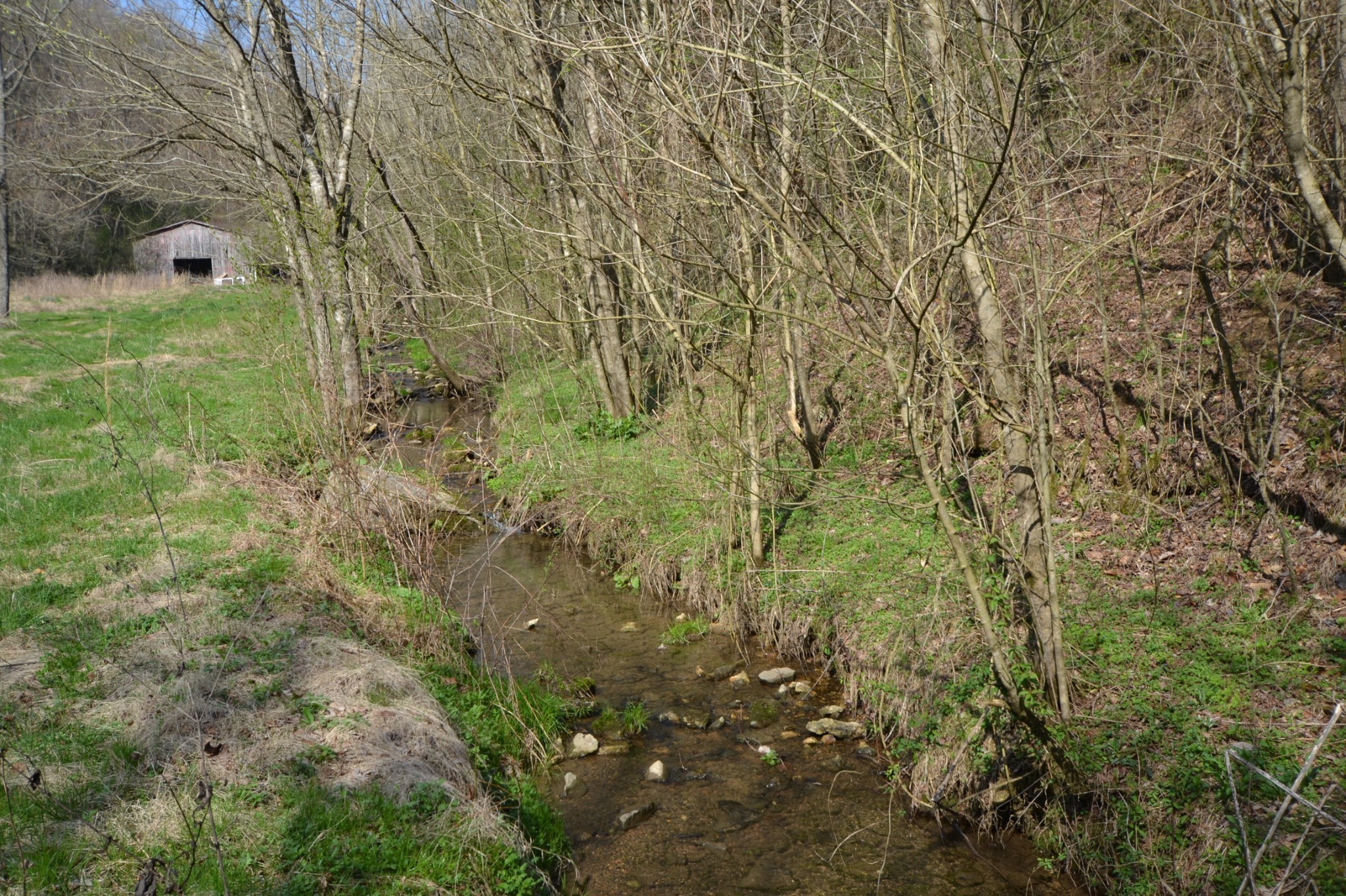 49 St Marys Road Chestnut Mound, TN 38552 - Photo 8 of 39 Gallery Image 8