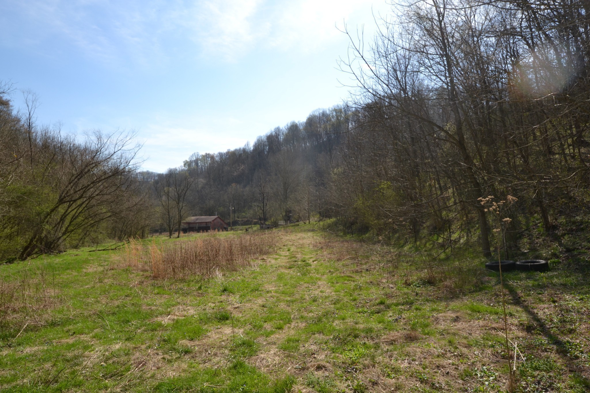 49 St Marys Road Chestnut Mound, TN 38552 - Photo 9 of 39 Gallery Image 9