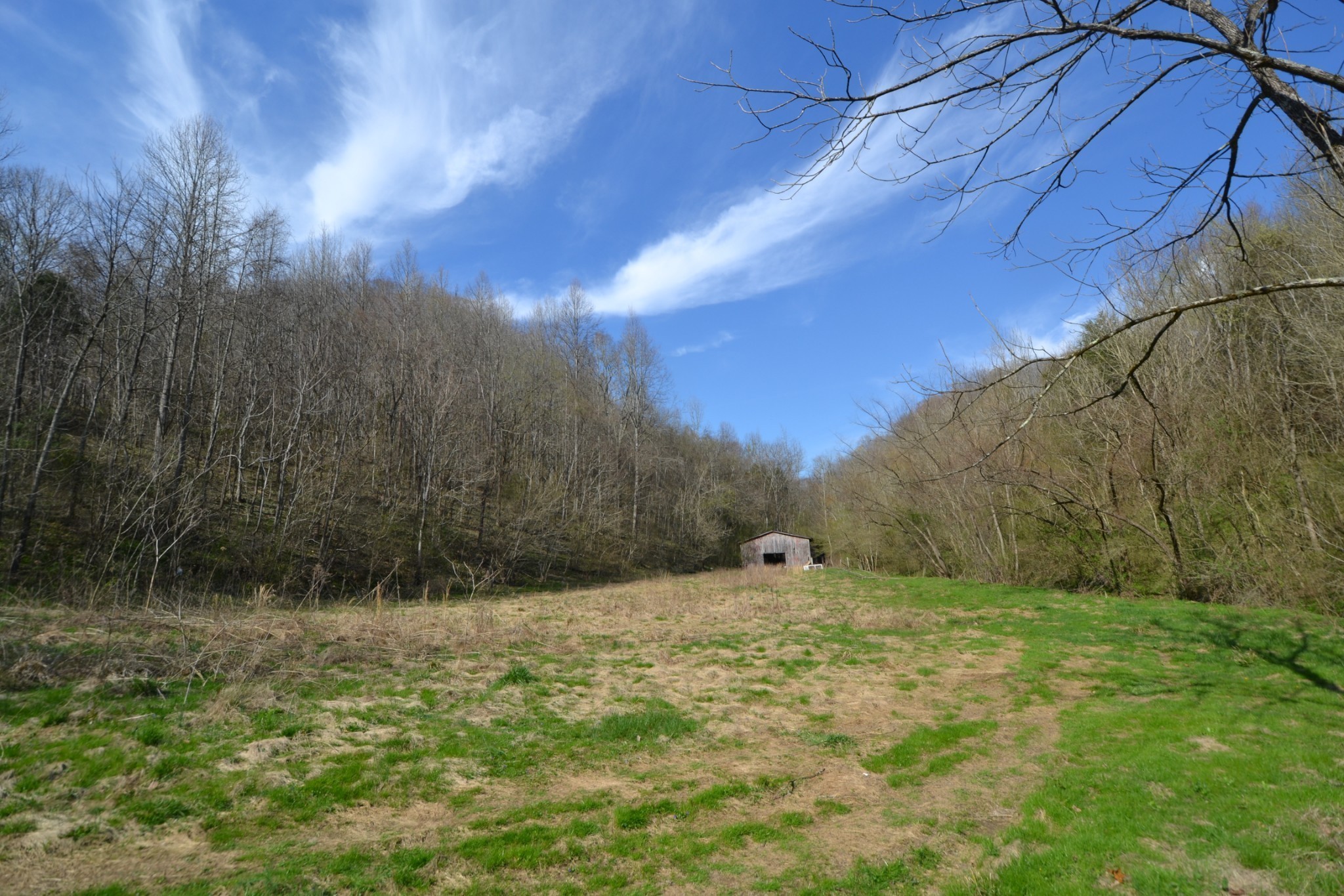 49 St Marys Road Chestnut Mound, TN 38552 - Photo 10 of 39 Gallery Image 10