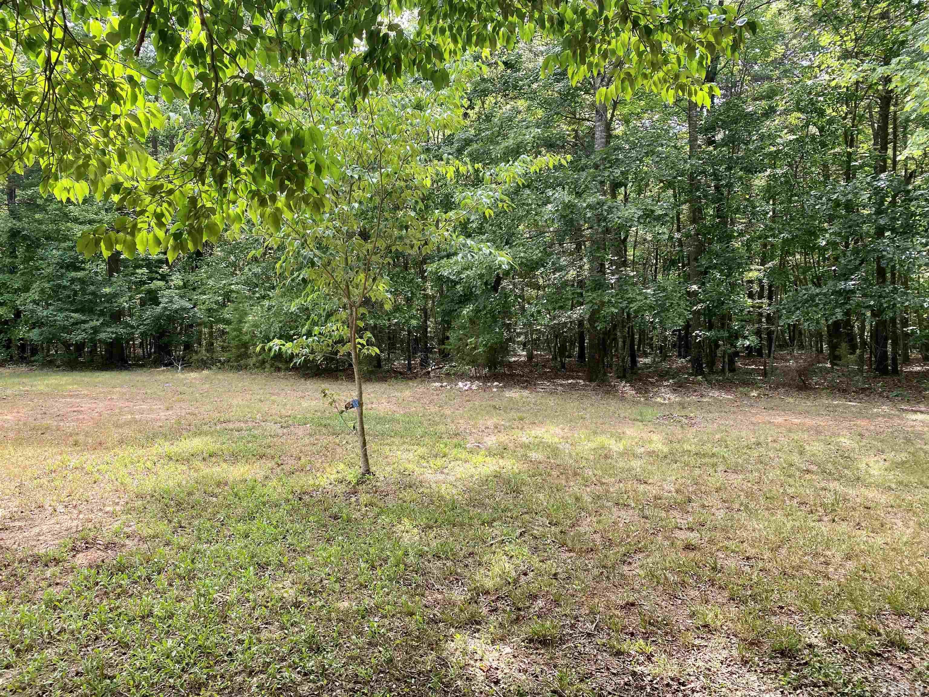 5508 High Rock Road Efland, NC 27243 - Photo 5 of 42 Gallery Image 5