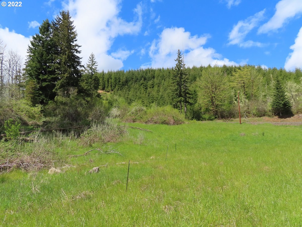 Harkum Road Chehalis, WA 98532 - Photo 8 of 25 a view of a green field with lots of bushes