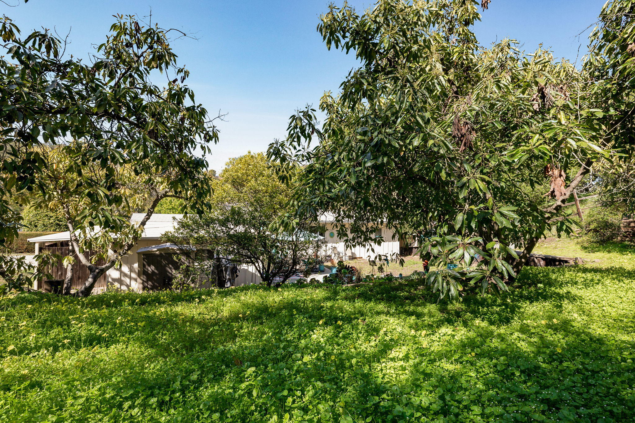 1241 Manitou Road Santa Barbara, CA 93101 - Photo 29 of 34 29-web-or-mls-14-print-UpmarketMedia_130