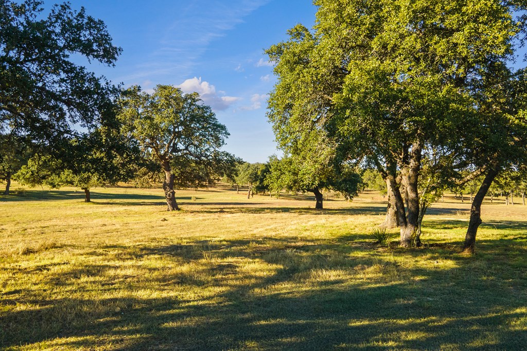 5059 Trainer Wuest Road Blanco, TX 78606 - Photo 36 of 56 Gallery Image 36