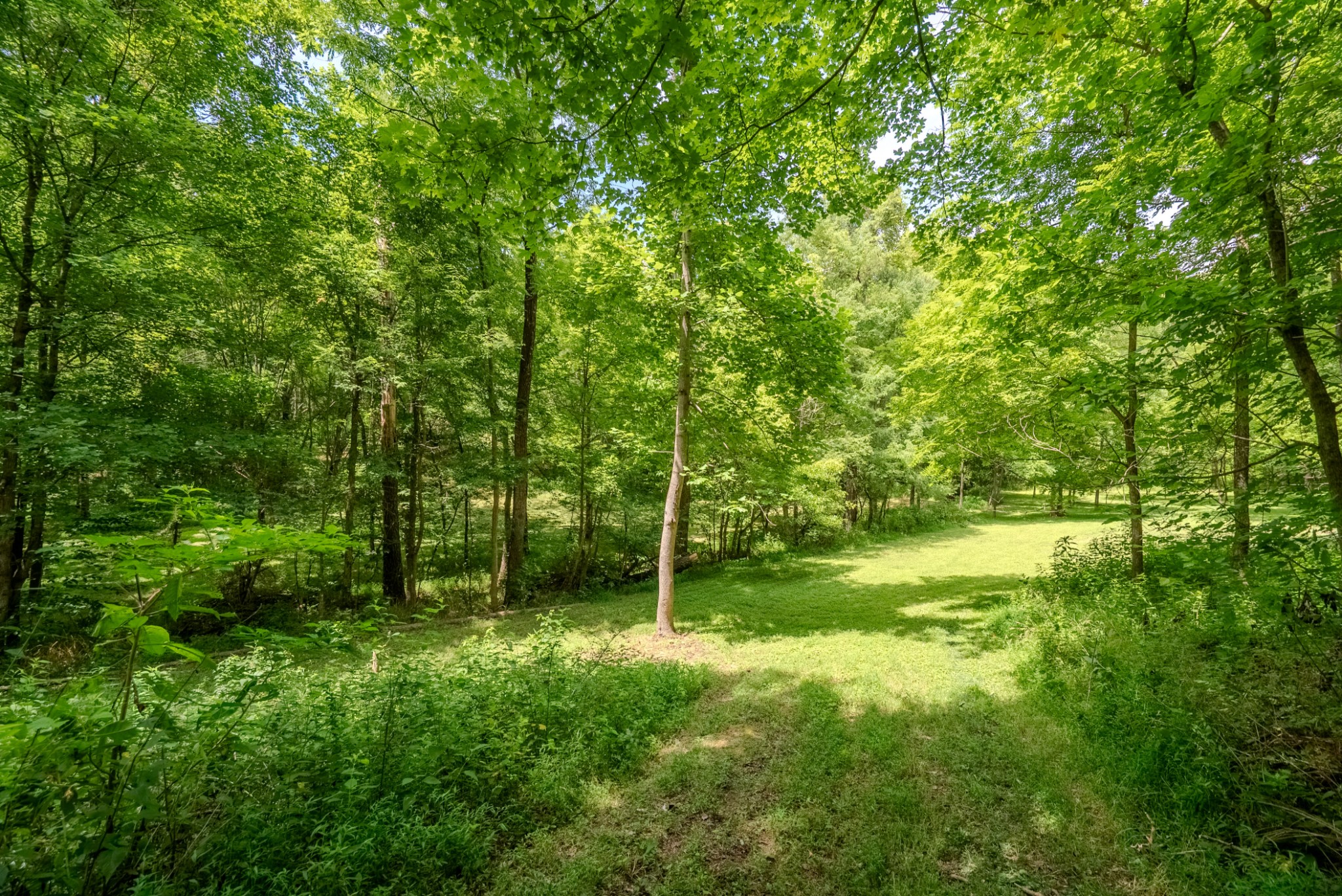 0 Bethlehem Road Springfield, TN 37172 - Photo 15 of 41 Gallery Image 15