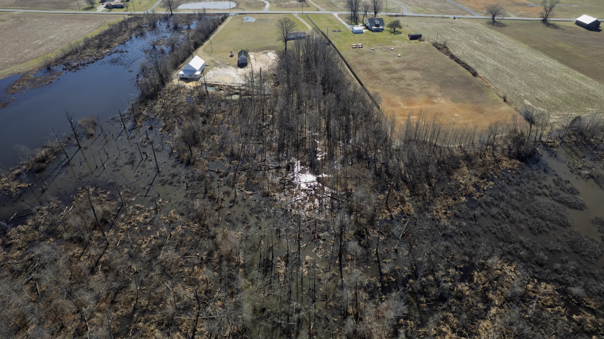 0 Lakeview Road Springfield, TN 37172 - Photo 10 of 16 a view of a yard