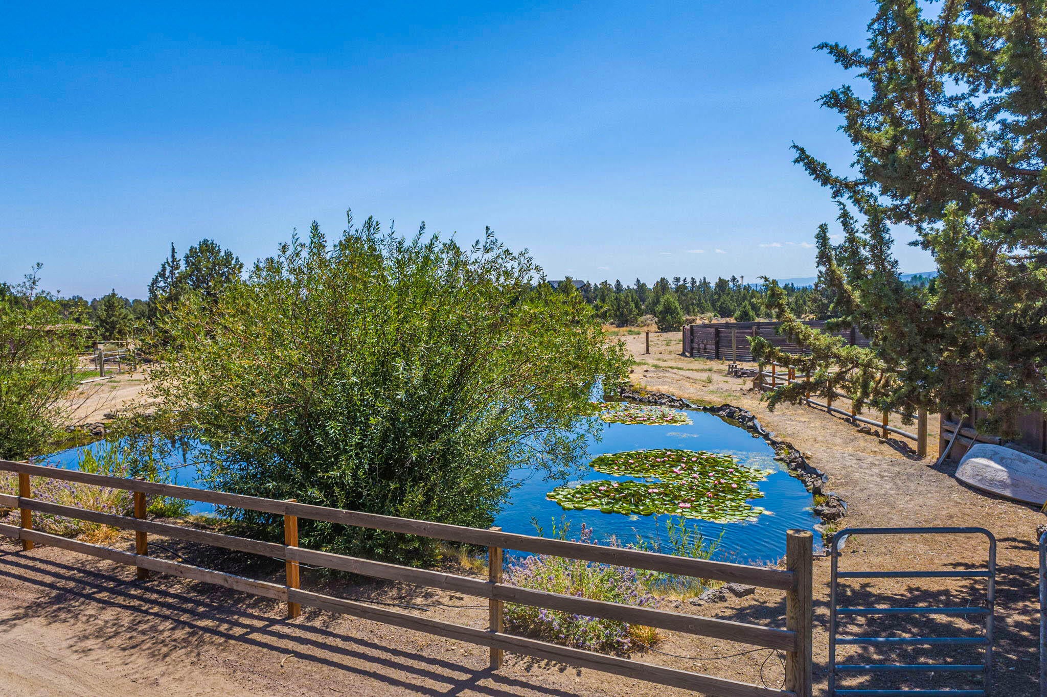 61785 Ten Barr Ranch Road Bend, OR 97701 - Photo 9 of 53 Pond