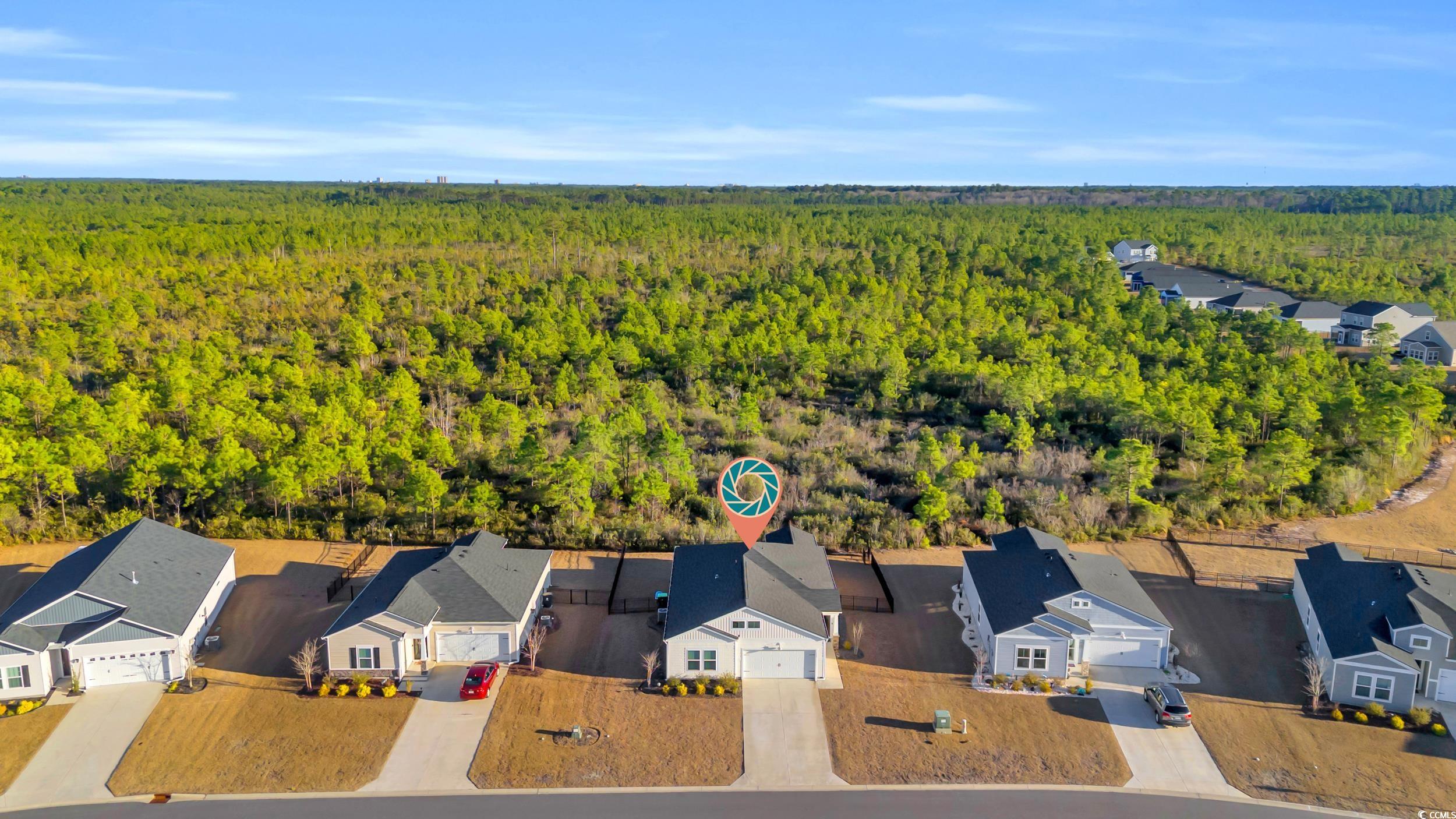 144 Rutland Court Conway, SC 29526 - Photo 33 of 34 Birds eye view of property