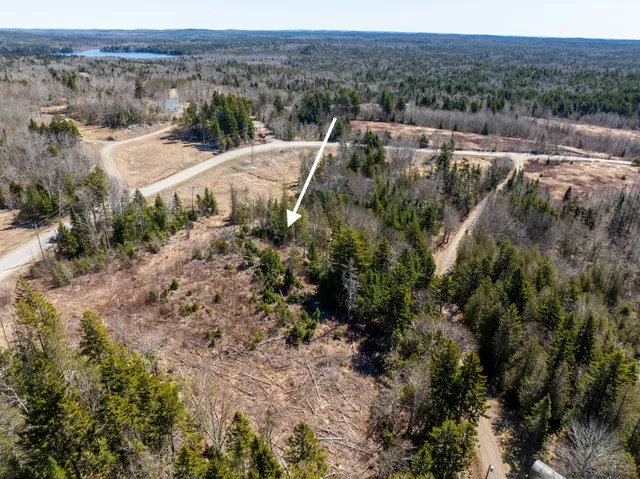 $53,000 | Lot 19-13d Halls Mills Road, Whiting, ME 04691