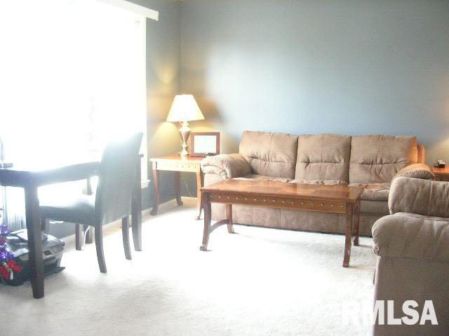 1009 Locust Street Vienna, IL 62995 - Photo 3 of 14 Gallery Image 3