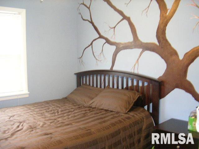 1009 Locust Street Vienna, IL 62995 - Photo 4 of 14 Gallery Image 4