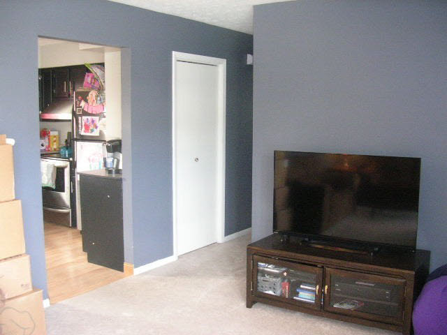1009 Locust Street Vienna, IL 62995 - Photo 5 of 14 Gallery Image 5