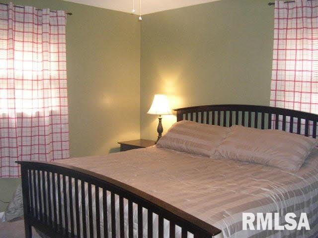 1009 Locust Street Vienna, IL 62995 - Photo 7 of 14 Gallery Image 7