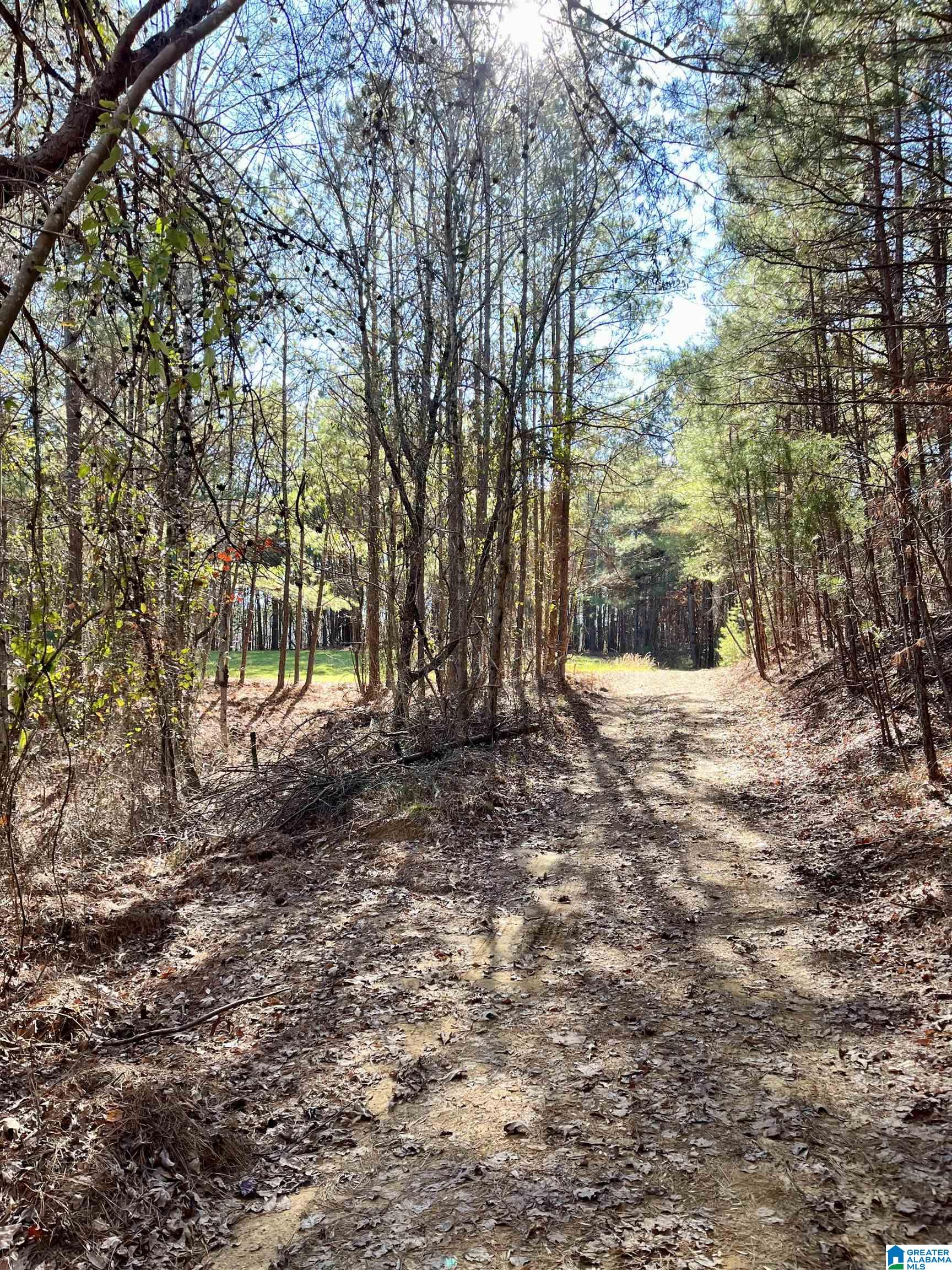 5000 Eads Uptain Road, Unit 1 2 3 4 Adger, AL 35006 - Photo 25 of 35