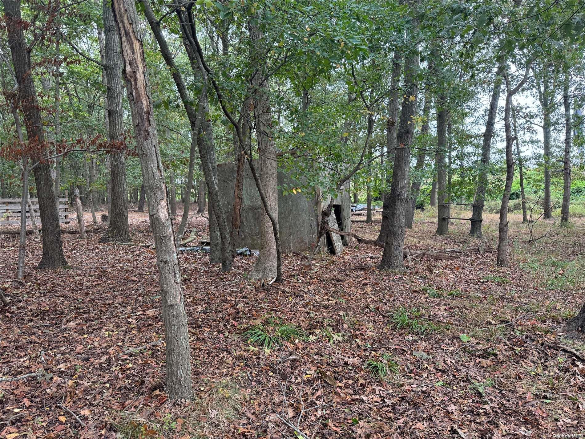 77 Lincoln Road Medford, NY 11763 - Photo 3 of 4