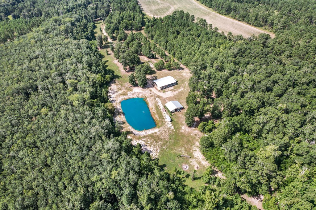 2480 South Springhill Road Gordon, AL 36343 - Photo 103 of 114
