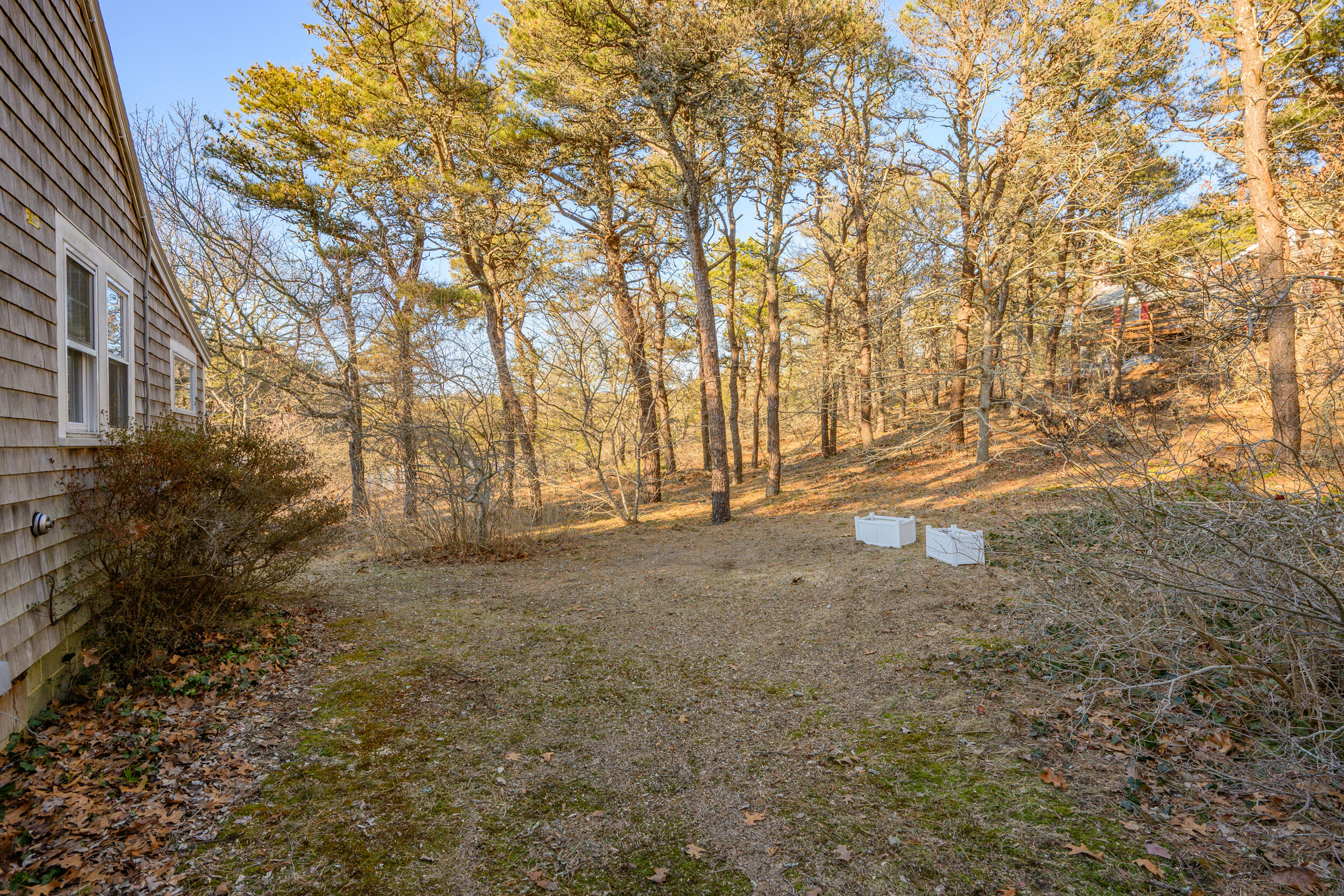 11-13 Whitmanville Road Truro, MA 02666 - Photo 69 of 95 DSC_9478