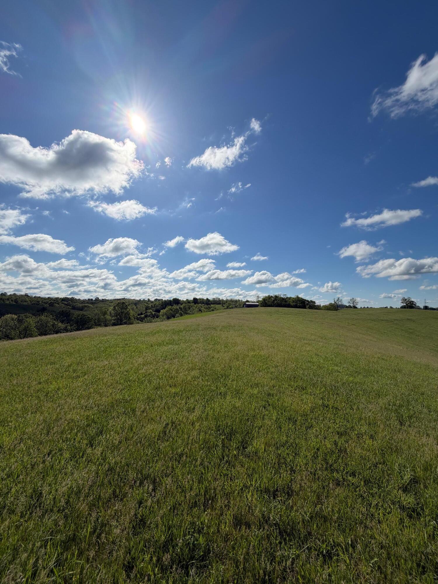 32.28-ac Chipman Ridge Road Williamstown, KY 41097 - Photo 9 of 13