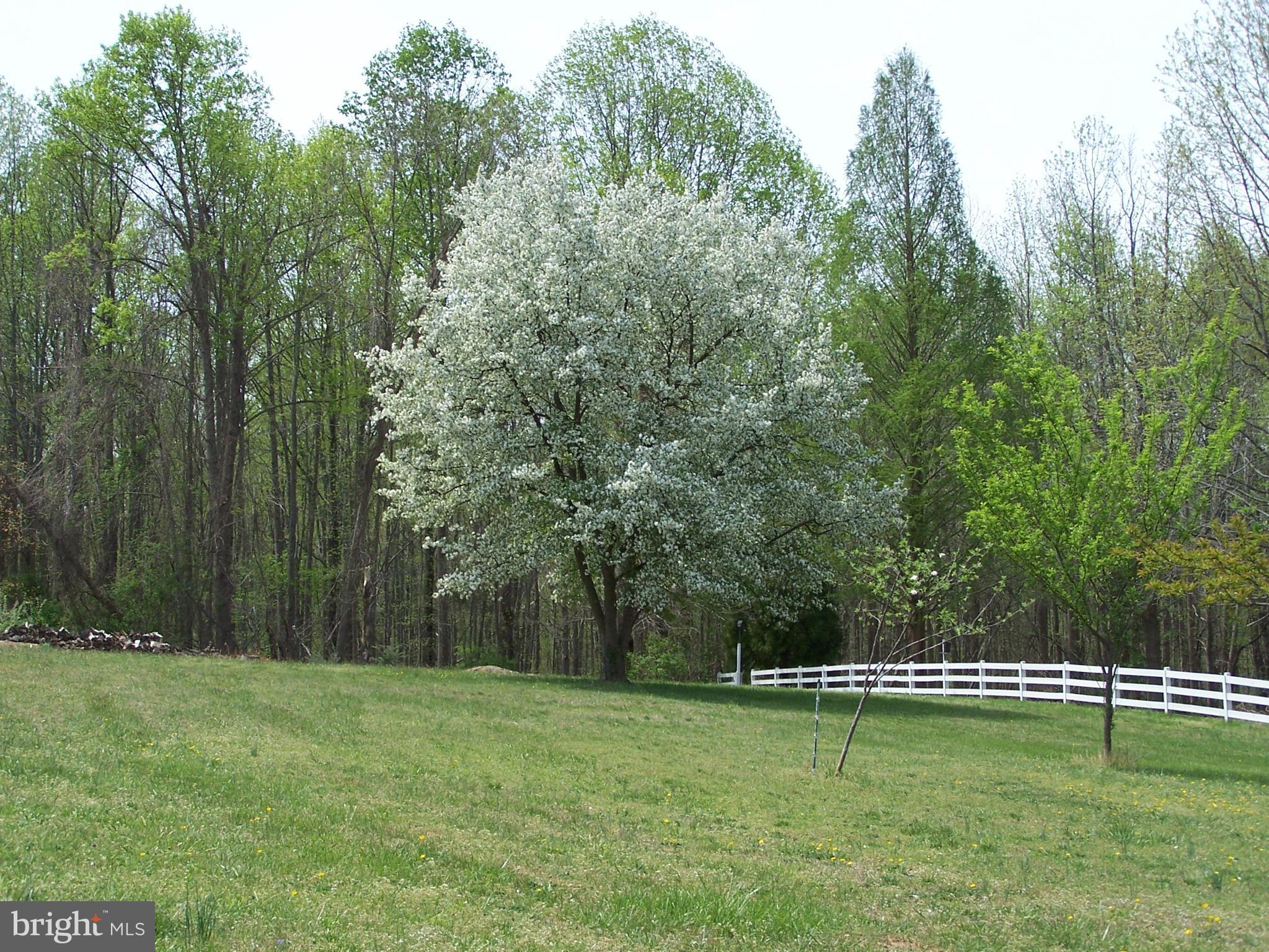 1156 Bacon Ridge Road Crownsville, MD 21032 - Photo 26 of 29 Exterior (General)