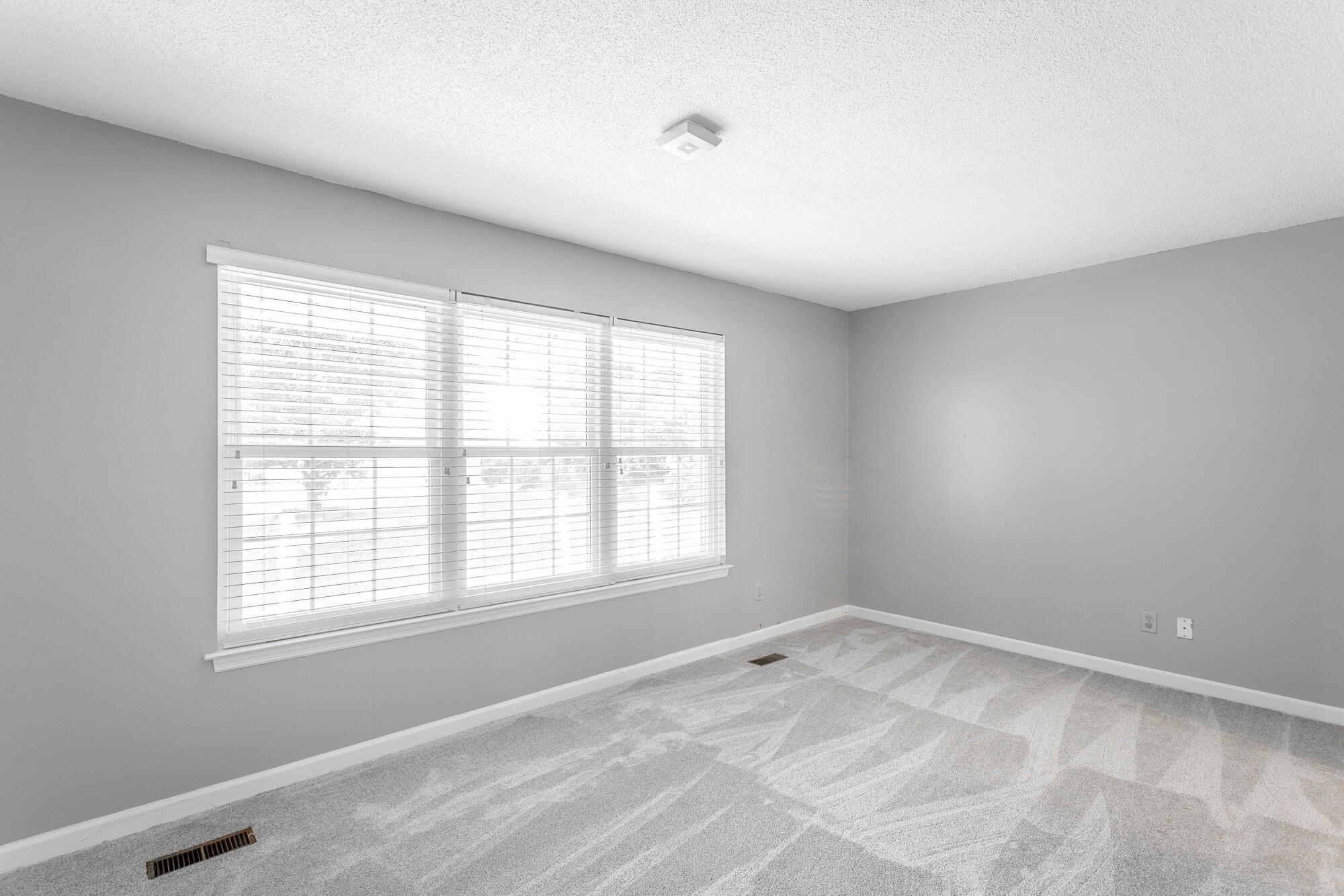 9015 Potomac Drive Chattanooga, TN 37421 - Photo 11 of 76 9015 Potomac Circle HD-5