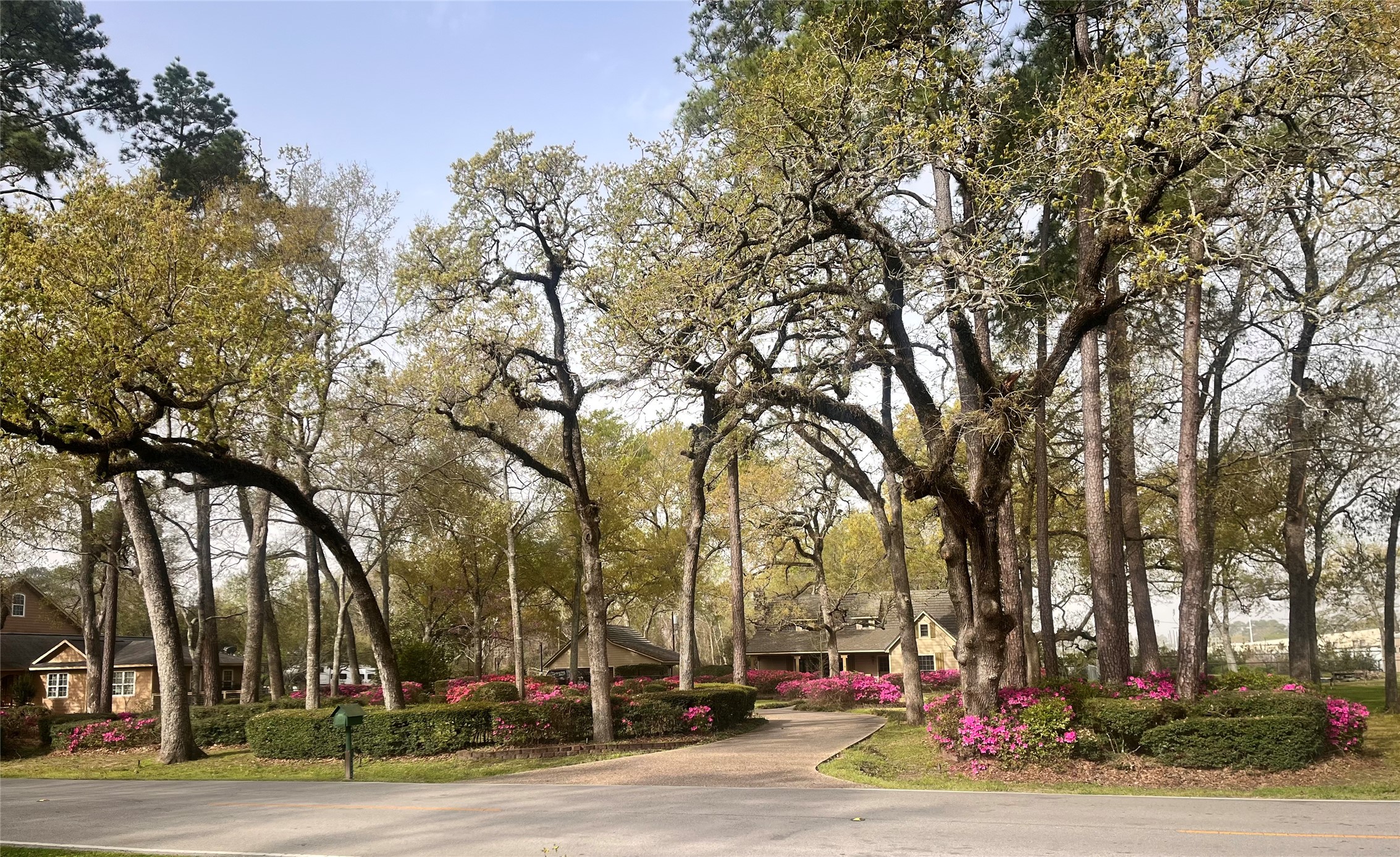 13835 Jarvis Road Cypress, TX 77429 - Photo 2 of 24 a view of street with parked cars