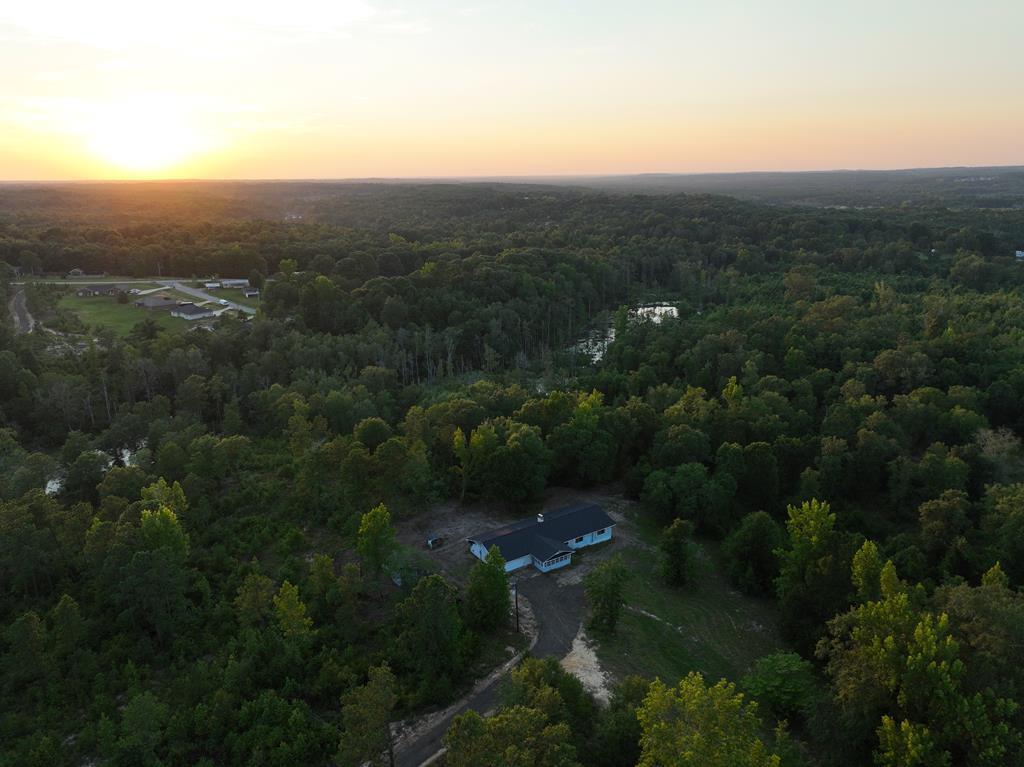 50 Sweetwater Branch Road Fort Mitchell, AL 36856 - Photo 1 of 9 Main View
