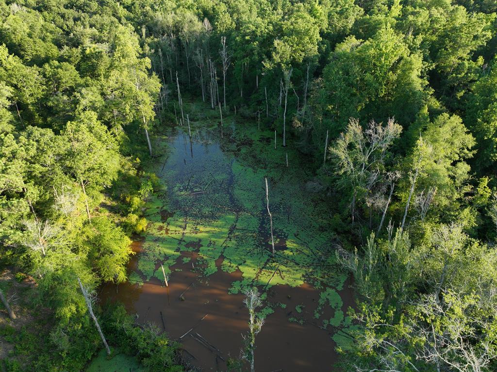 50 Sweetwater Branch Road Fort Mitchell, AL 36856 - Photo 5 of 9