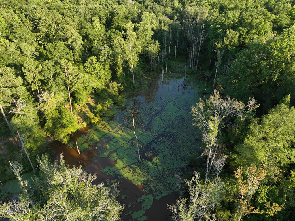 50 Sweetwater Branch Road Fort Mitchell, AL 36856 - Photo 6 of 9